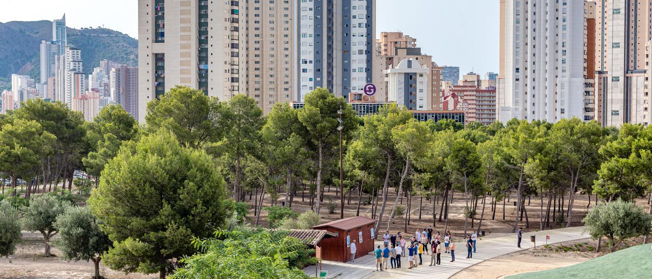 El parque de la Séquia Mare, donde se han plantado algunos árboles, en una imagen de archivo.