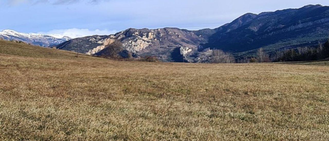 Terrenys on es preveu fer-hi el parc solar | AJUNTAMENT DE CERCS