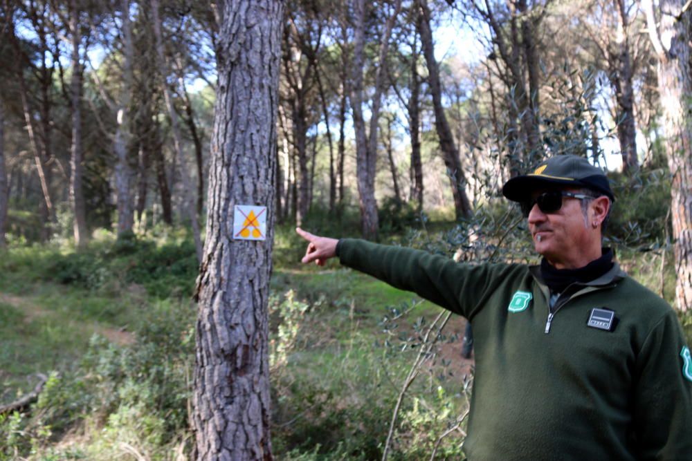 Avisen que es podria malmetre la zona de la duna continental al parc del Montgrí