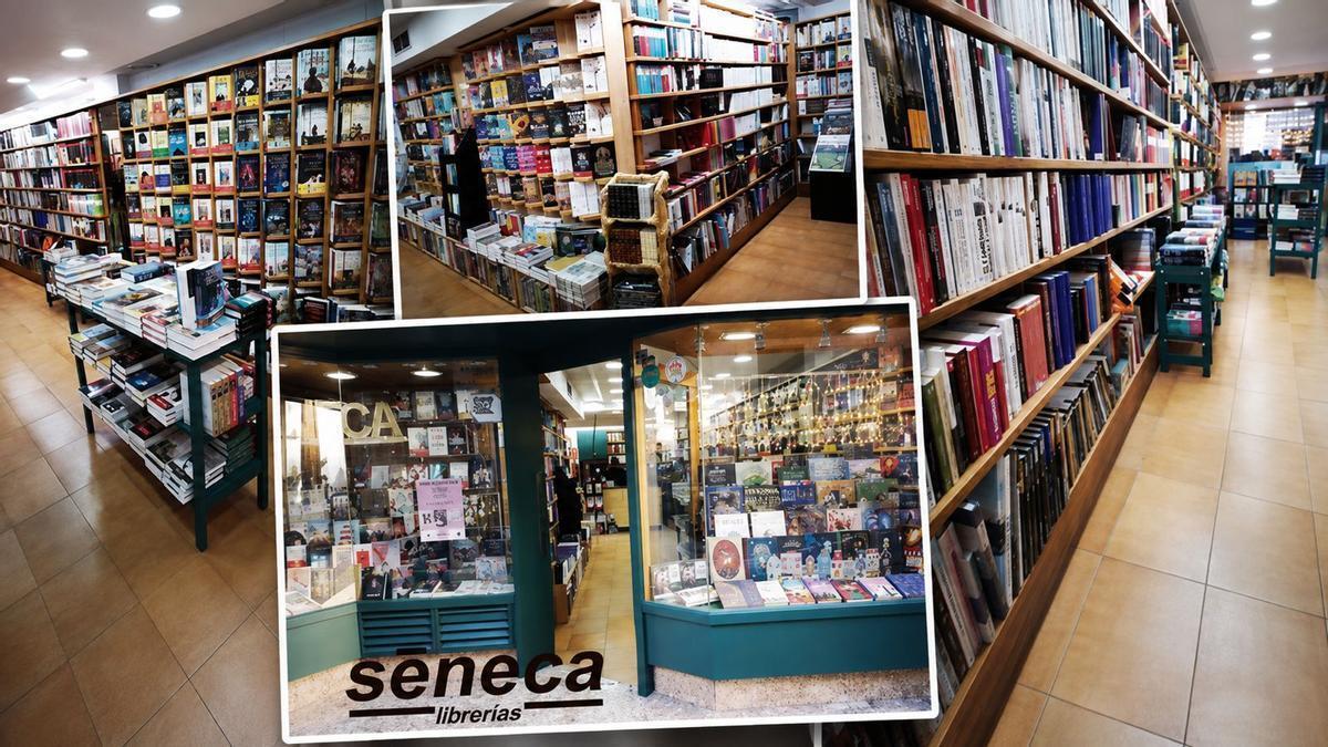 Imágenes de la librería Séneca de Elche.