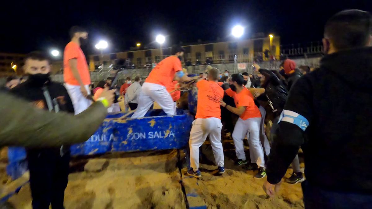 Polémica por la celebración del 'bou embolat' en Vila-real