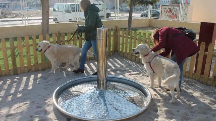 Sueca abre su primer espacio de convivencia de perros