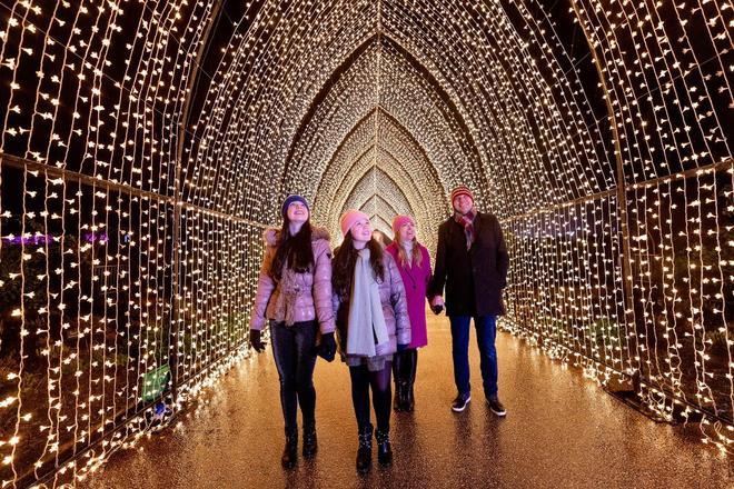 Castillo de Hillsborough, Navidad, Irlanda