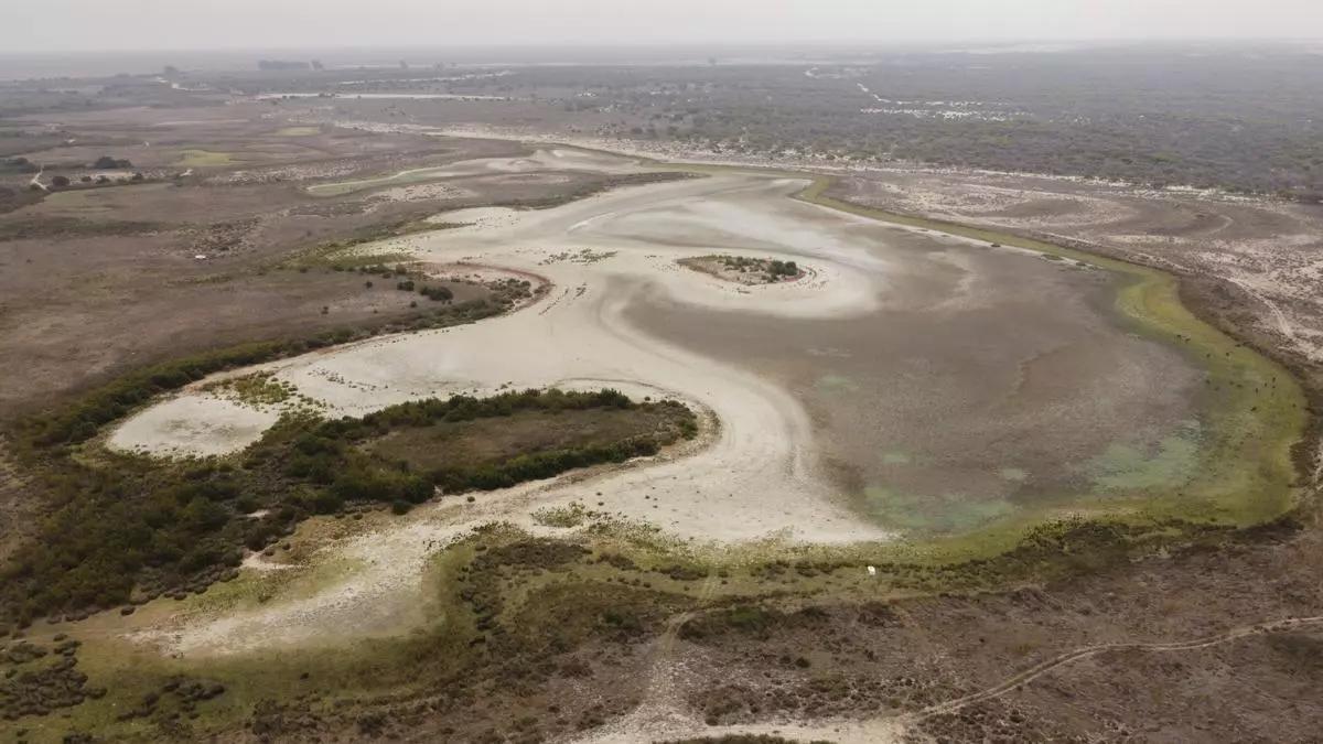 Vista aérea de la laguna de Santa Olalla, la laguna permanente más grande del espacio natural de Doñana.