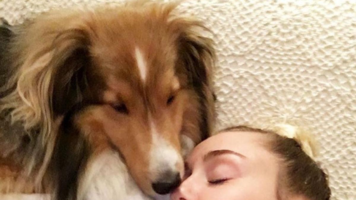 Miley Cyrus, junto a uno de sus perros