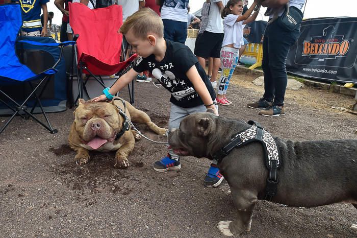 II Feria de mascotas, en Maspalomas