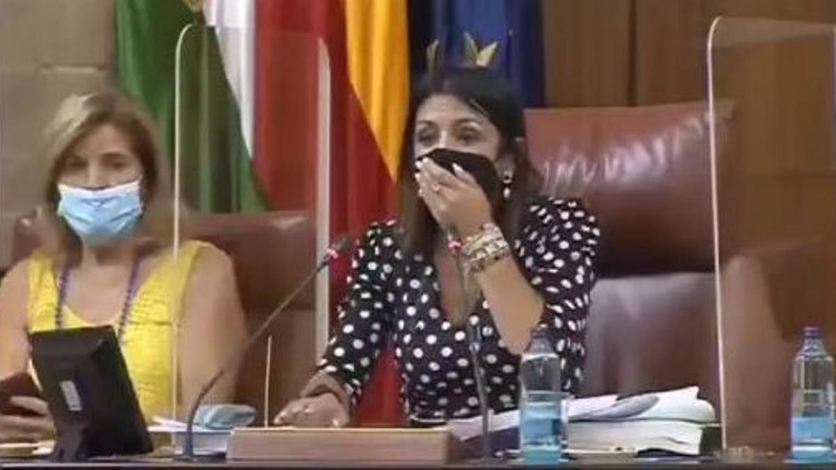 Una rata irrumpe en el salón de plenos del Parlamento de Andalucía