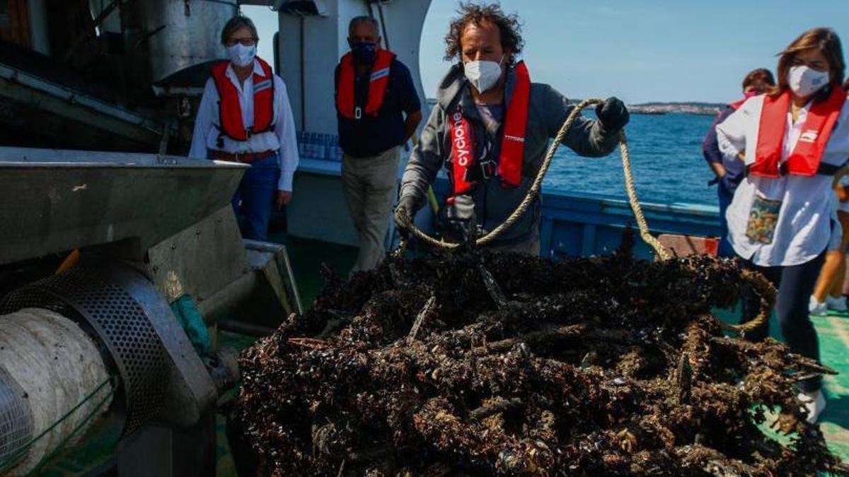 Una cuerda de batea a bordo de &quot;Os Loureiros&quot;.