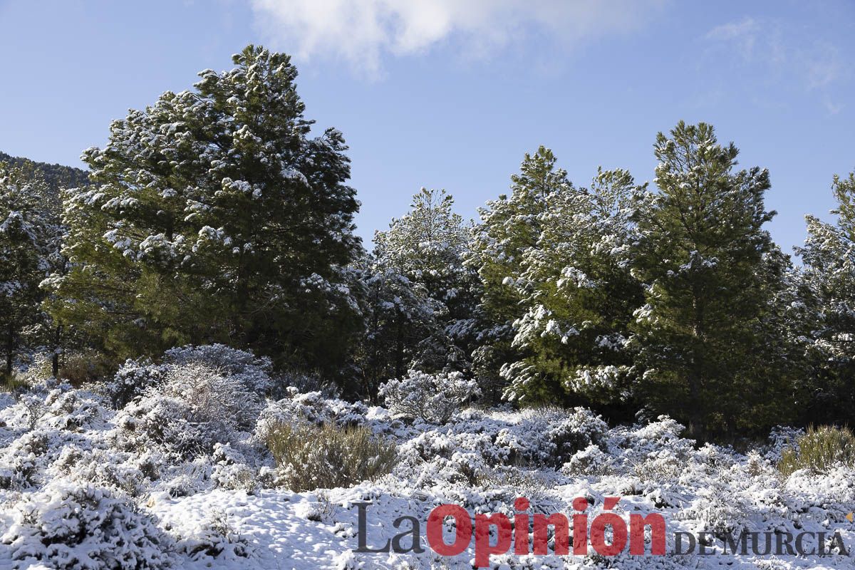 La nieve se hace presenta en las proximidades de Revolcadores