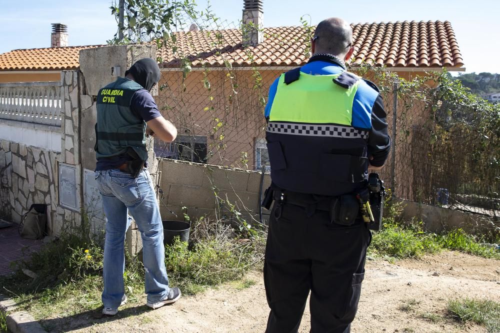 Dos detinguts i 1.500 plantes de marihuana descobertes en més escorcolls contra el clan de la Selva i el Gironès