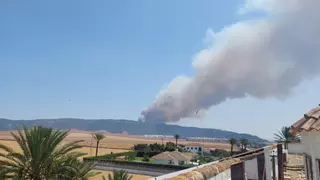 Un nuevo incendio en Tarifa amenaza el entorno de la playa de Bolonia