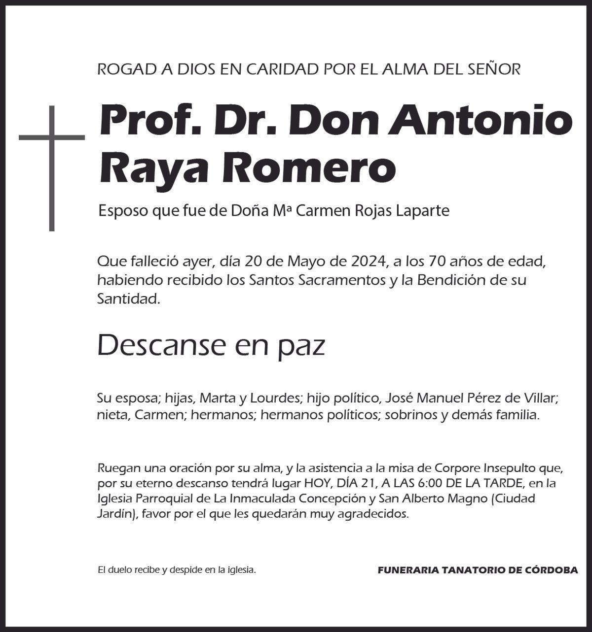 Prof. Dr. Don Antonio Raya Romero