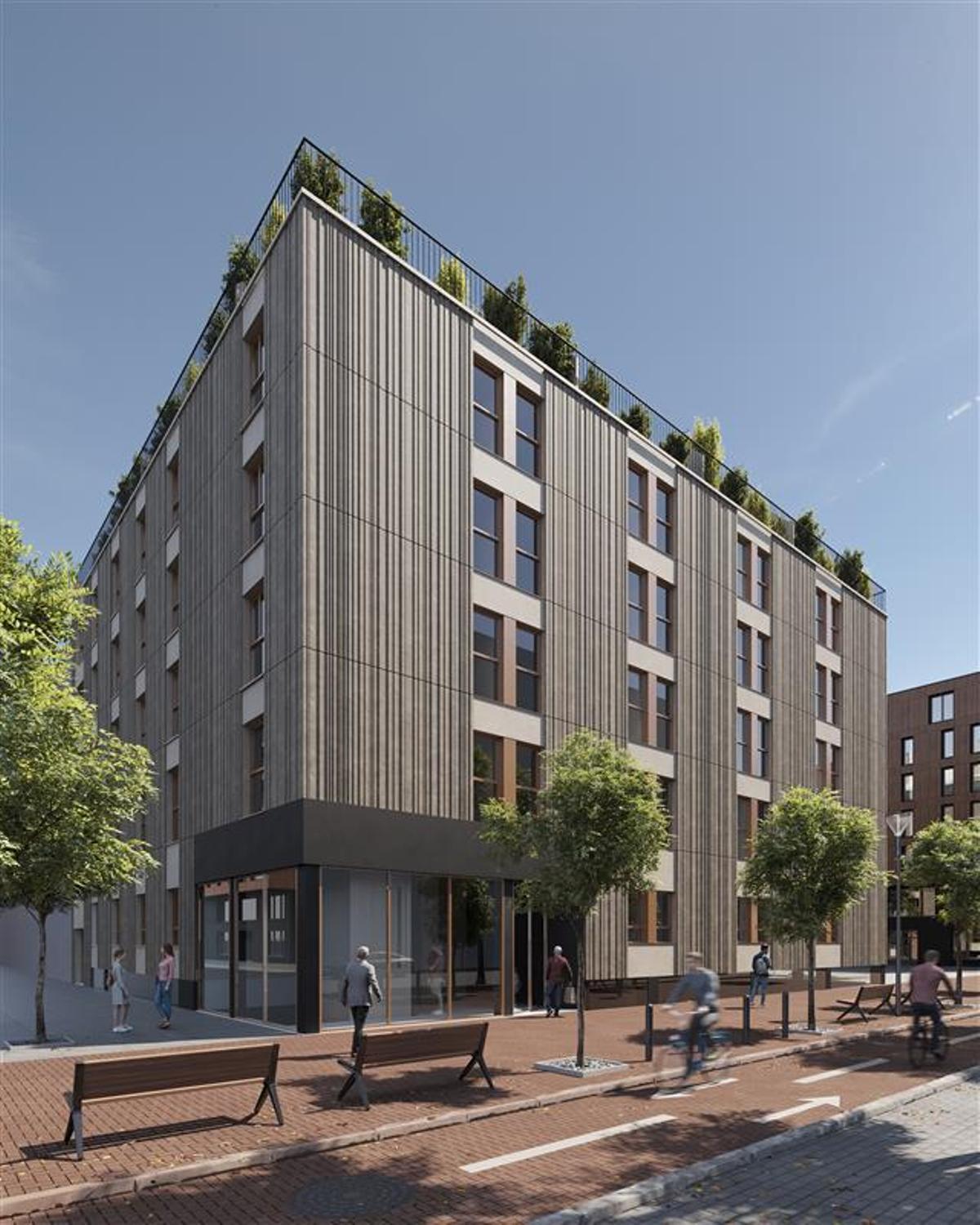 Marina Living (Nealis Infraestructuras).