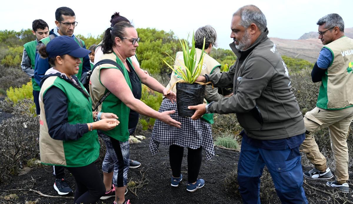 Durante la jornada se plantaron cerca de 100 especies de bosque termófilo.