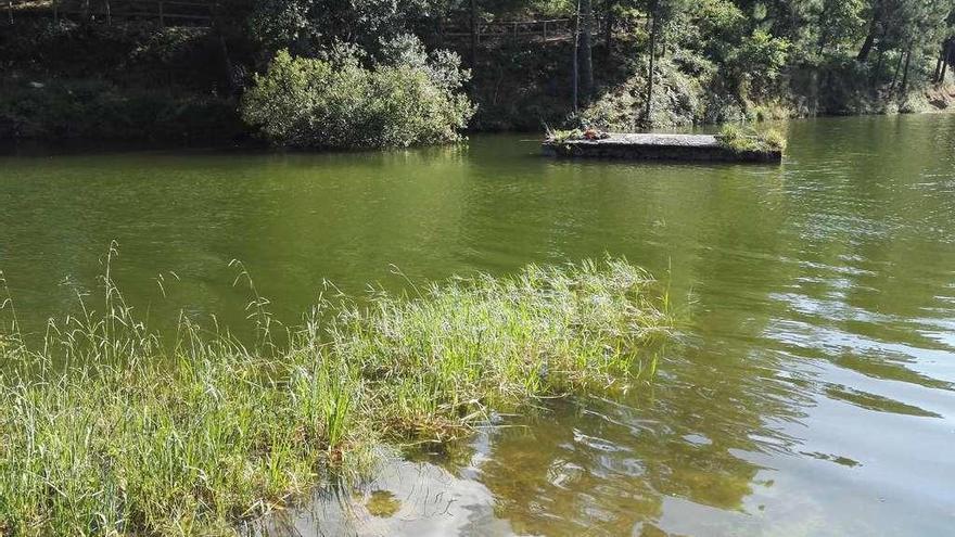 El agua del embalse, teñido de verde por la microcistina.  // Faro