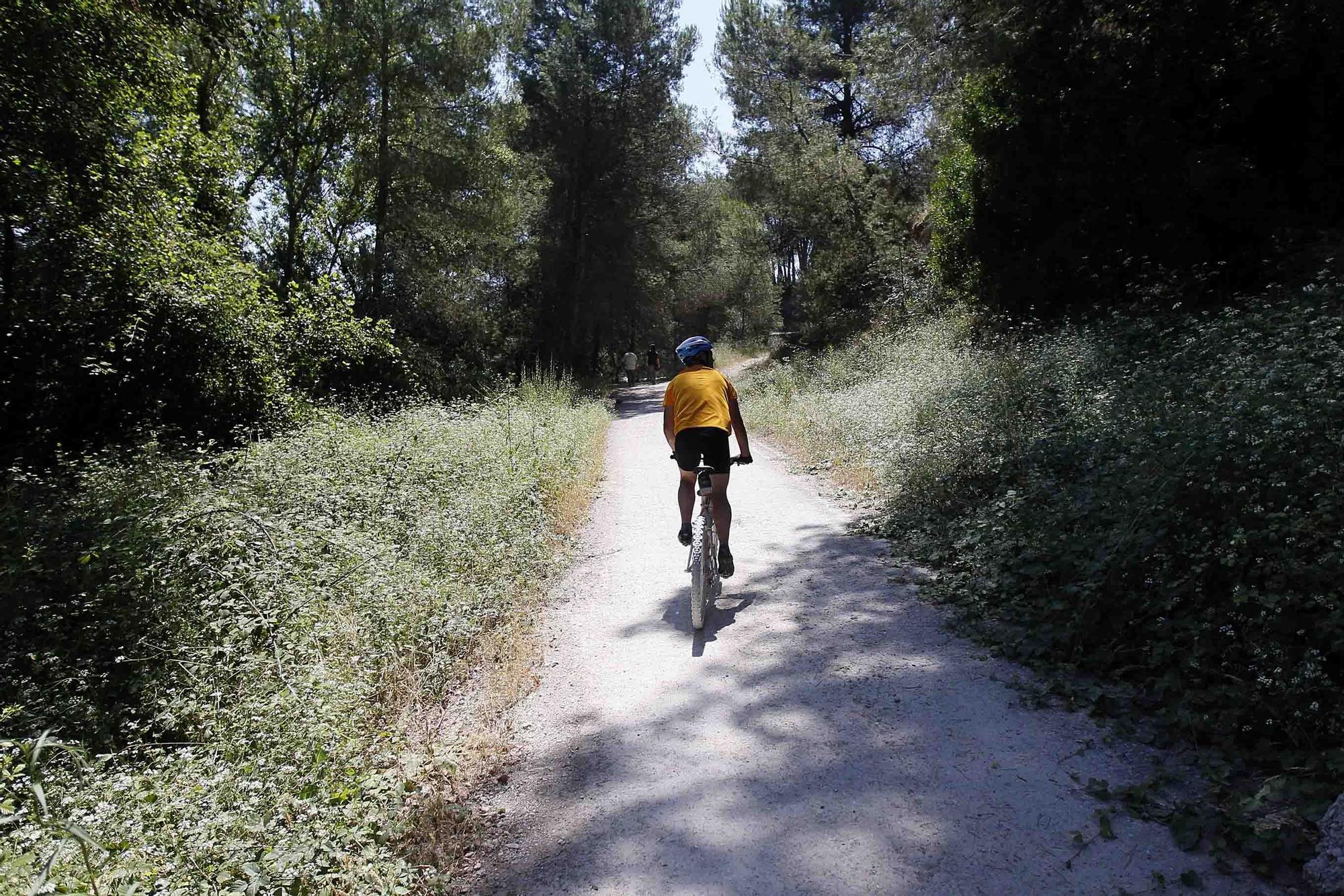 Un paseo por el Parc Natural del Túria