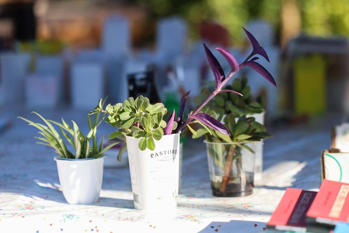 L’Hort Comunitari de Sa Llavanera: celebración de la agricultura para todas las edades L’Hort Comunitari de Sa Llavanera: celebración de la agricultura para todas las edades
