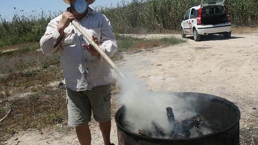 Incineración de aves fallecidas en El Hondo, en una imagen tomada la pasada semana