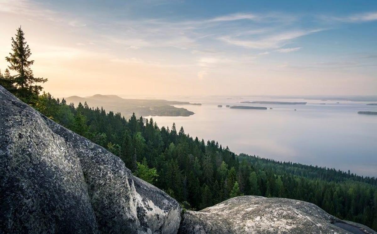 Paha-Koli