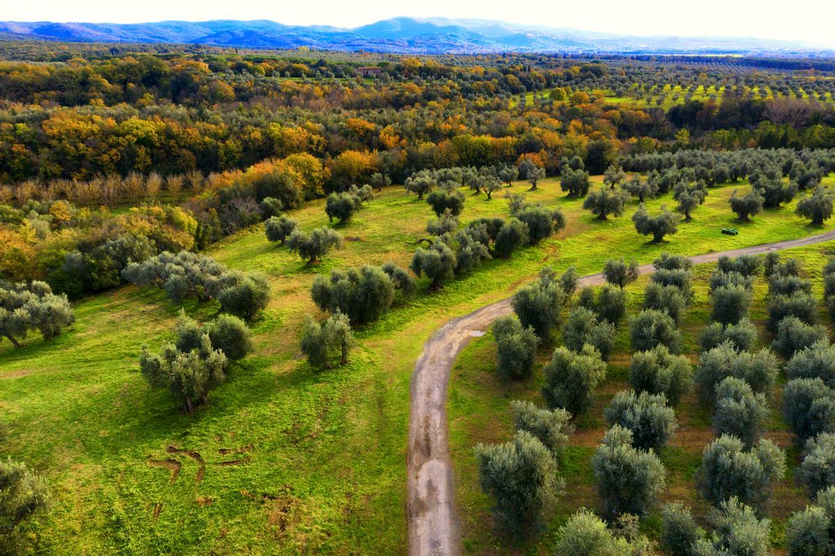 Es la Vía Verde más transitada de España