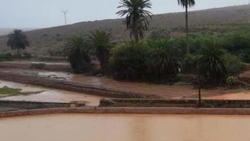 Fuerteventura retorna a un paisaje de hace veinte años regado por una lluvia mansa
