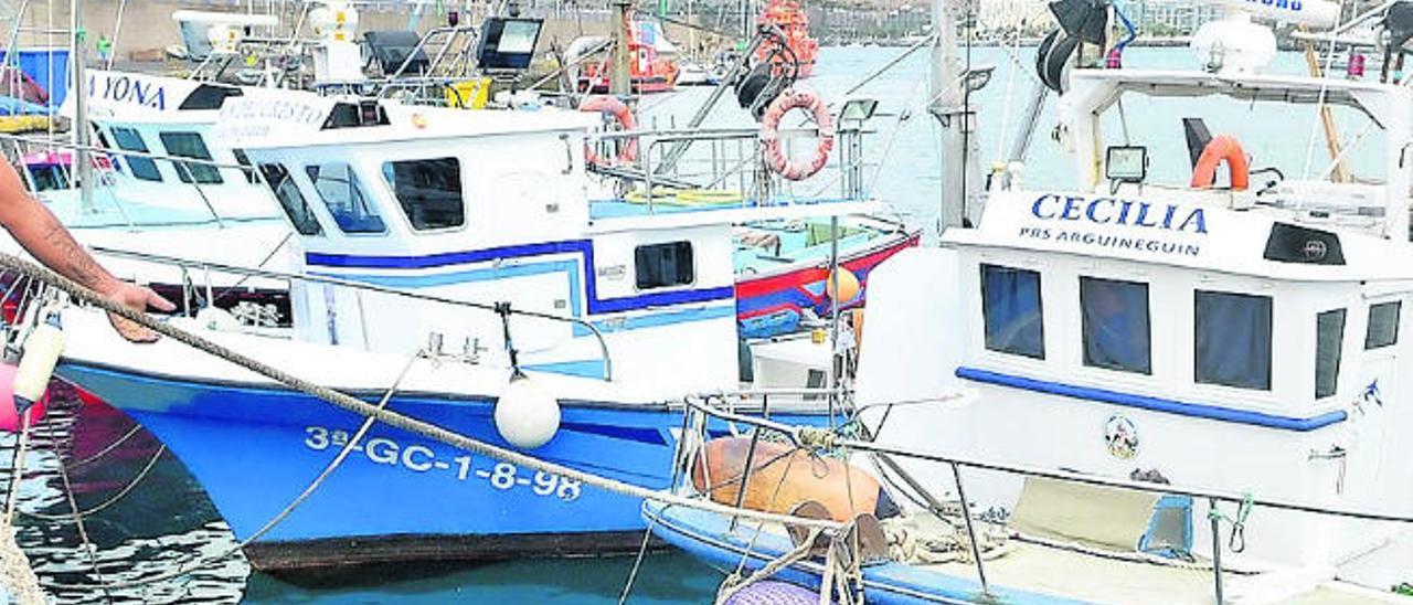 Las rencillas y la falta de entendimiento laminan la unidad en la pesca canaria