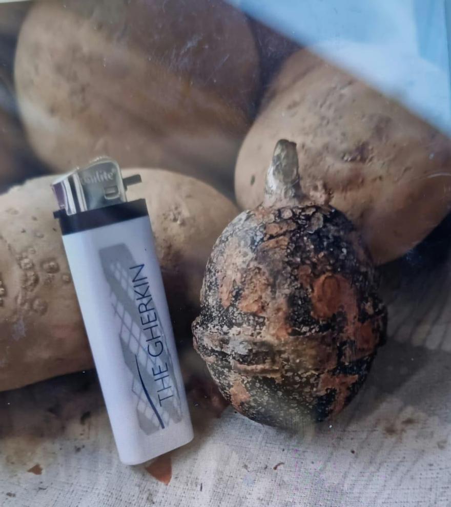 La granada, colocada entre las patatas, con un mechero al lado que da una idea de su tamaño.