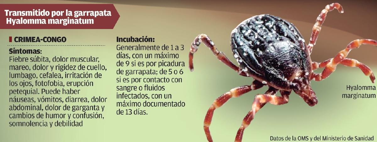 La garrapata que contagia el virus viaja en la cabeza de las aves migratorias del área subsahariana