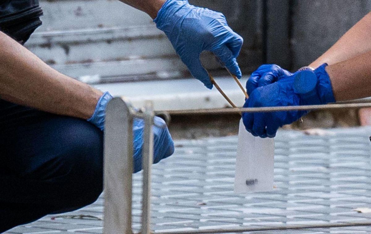 Un nou tiroteig a Barcelona activa les alertes dels Mossos Un nou tiroteig a Barcelona activa les alertes dels Mossos