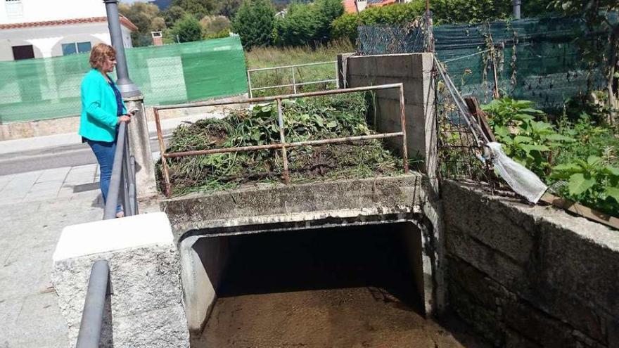 La concejala de Servizos, ayer, junto a parte de la maleza y residuos retirados del río. // G.Núñez