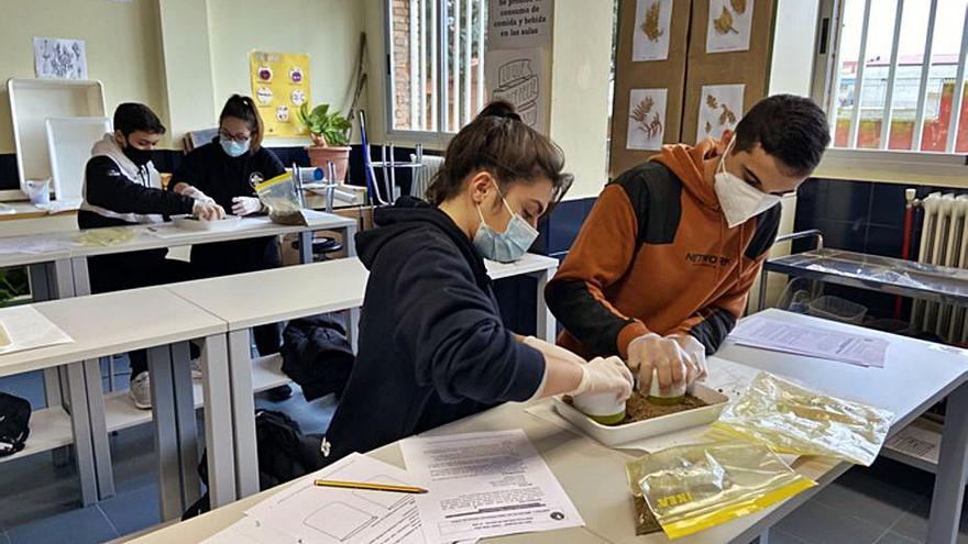 El IESO Los Salados de Benavente, semifinalista en el Premio Ecoinnovación Educativa