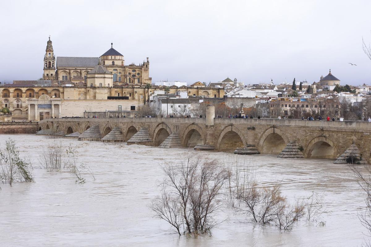 El Guadalquivir a su paso por Córdoba en una imagen de la crecida del río de este viernes.