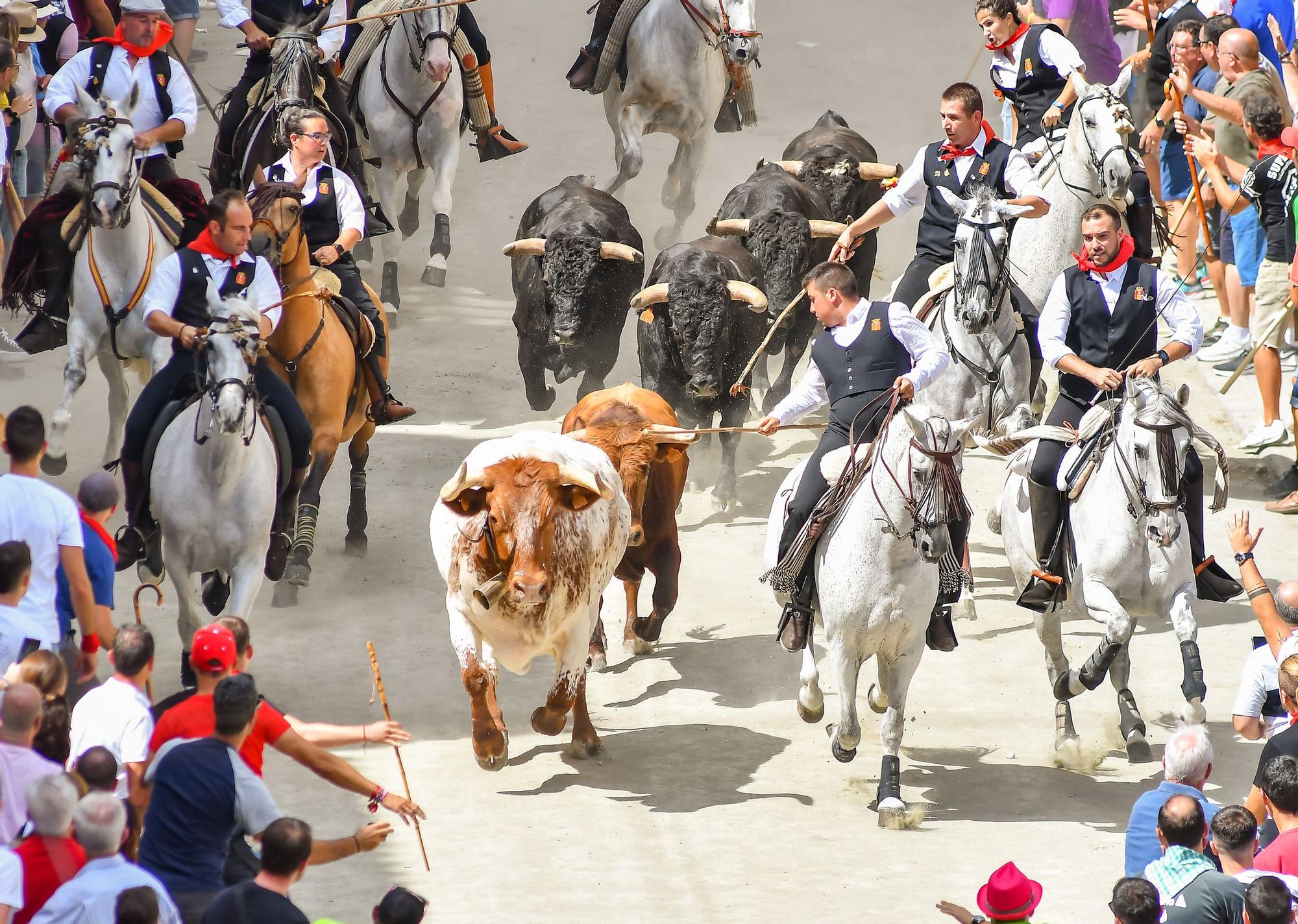 Todas las fotos de la cuarta Entrada de Toros y Caballos de Segorbe