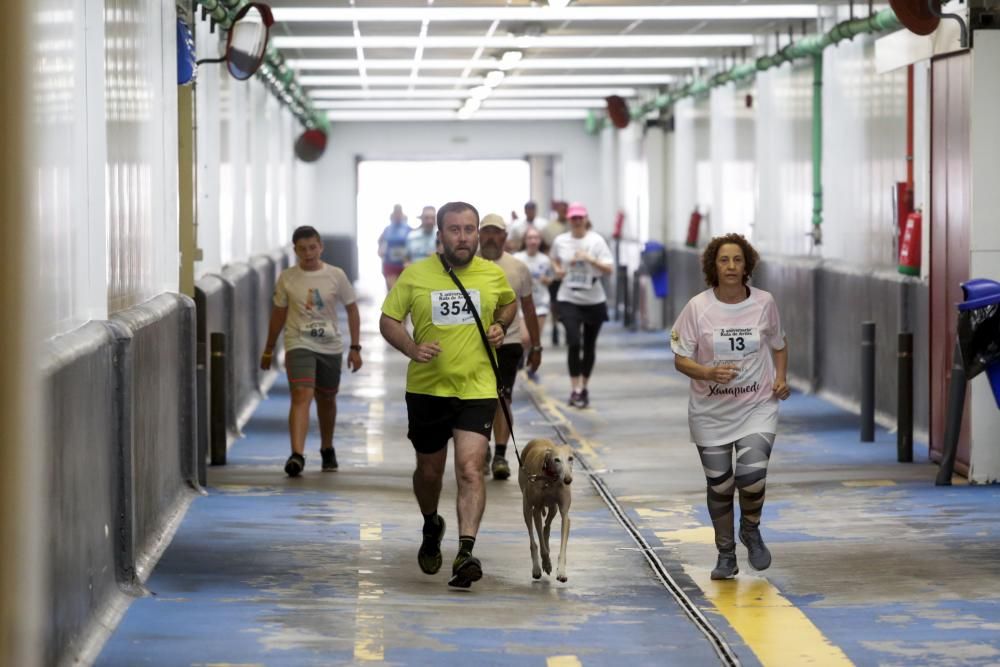 Carrera solidaria por el aniversario de la Rula de Avilés