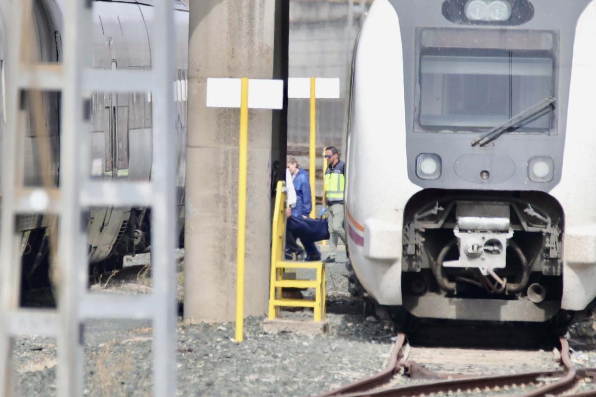 Hallan el cuerpo sin vida de Álvaro Prieto entre dos trenes en Sevilla