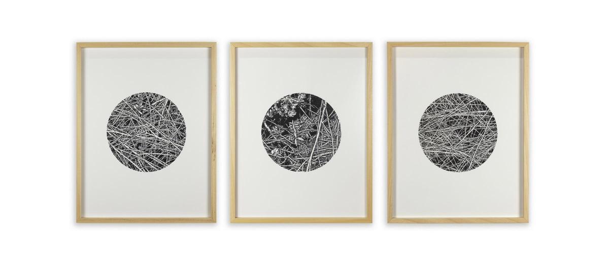 Serie 'Geometria Orgánica', de Agustín Serisuelo.