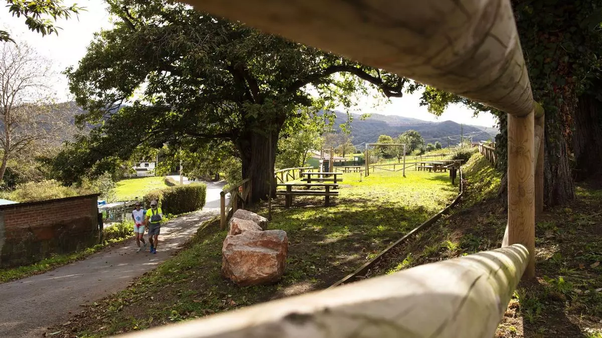 Caminando por Cayés: la "catedralina" de San Martín y el área recreativa de los castaños de Campiello