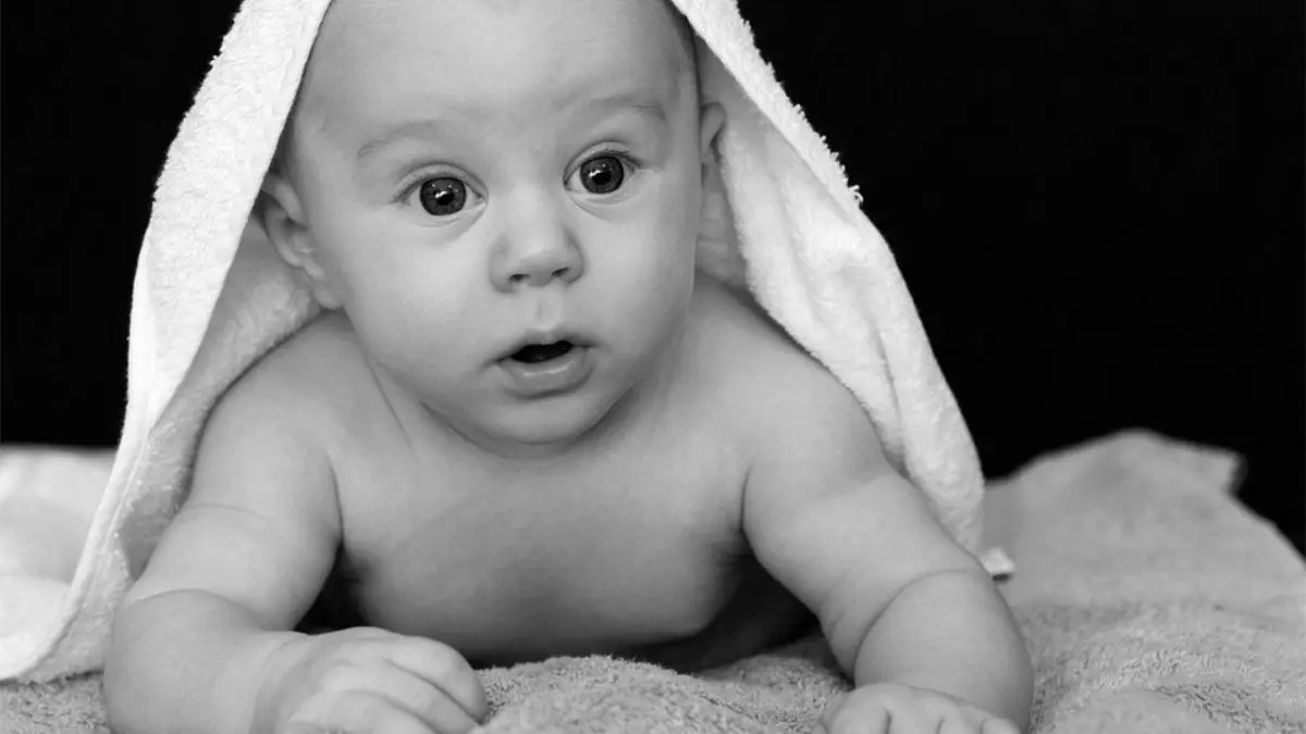 Más de 13 millones de personas han nacido por fecundación in vitro en todo el mundo