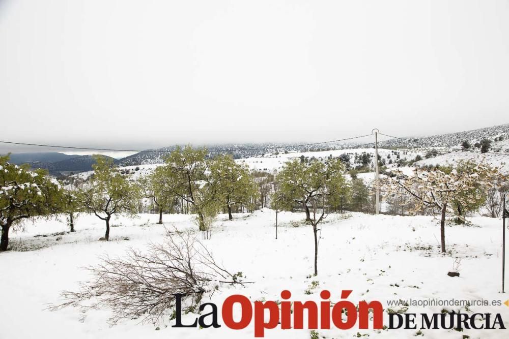 Nieve en el Noroeste