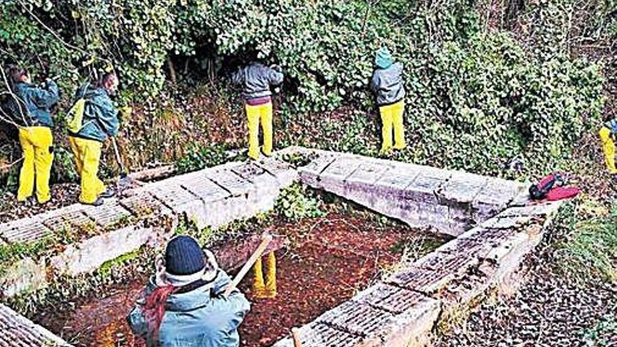 Los alumnos trabajan en una de las fuentes de Venialbo.