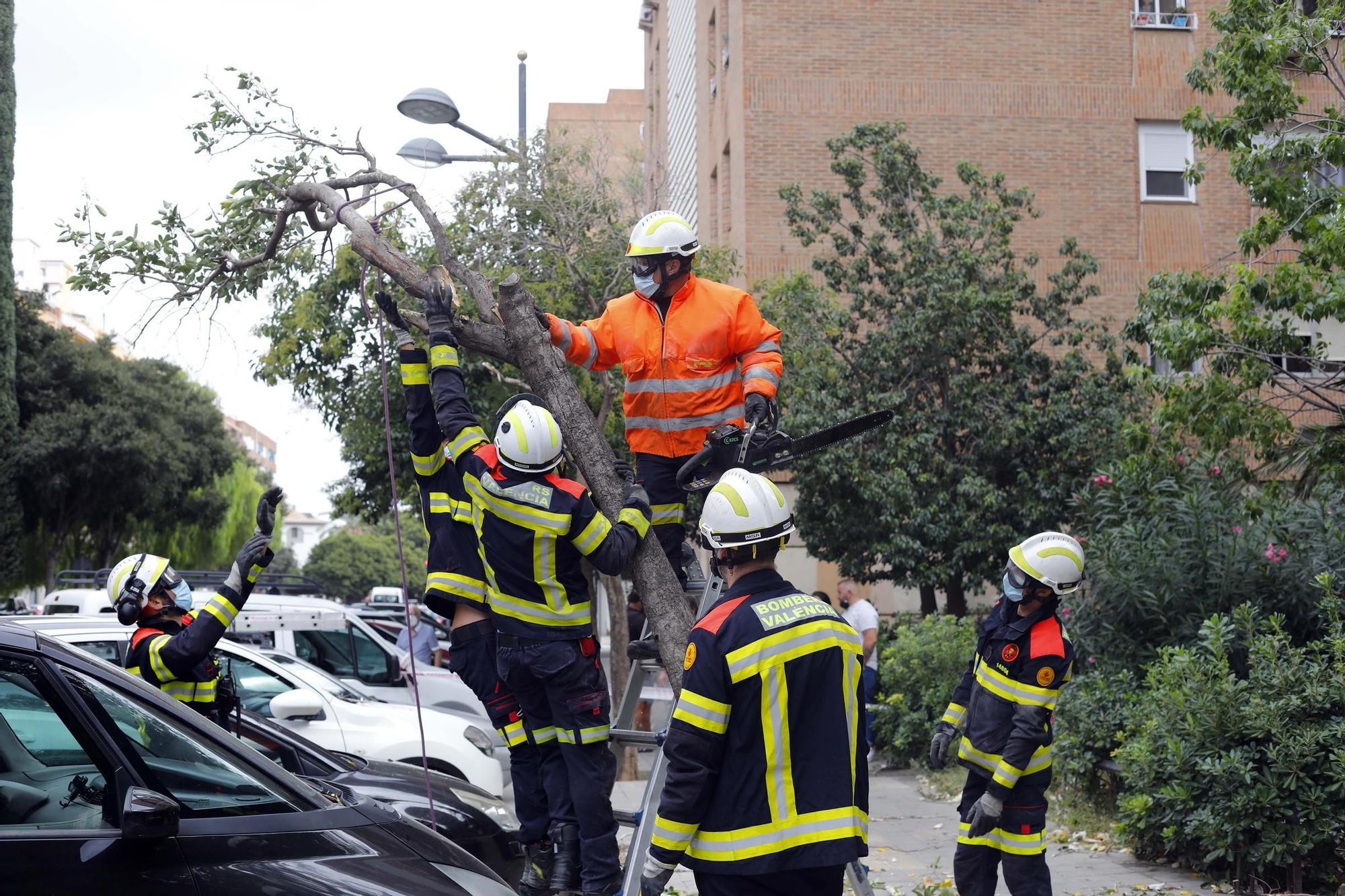 Daños provocados por el fuerte temporal de viento y lluvia en València