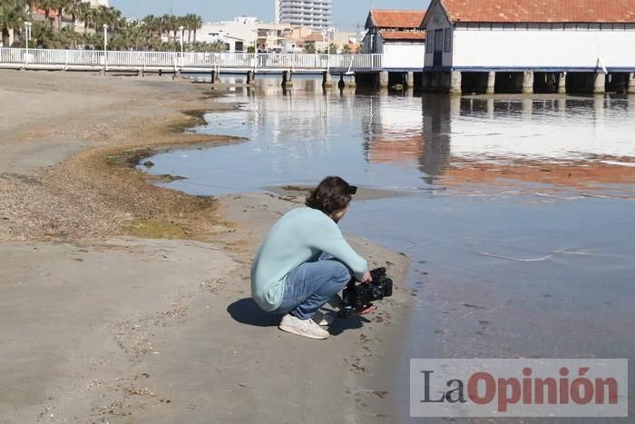 Manifestación 'Los Alcázares por su futuro'