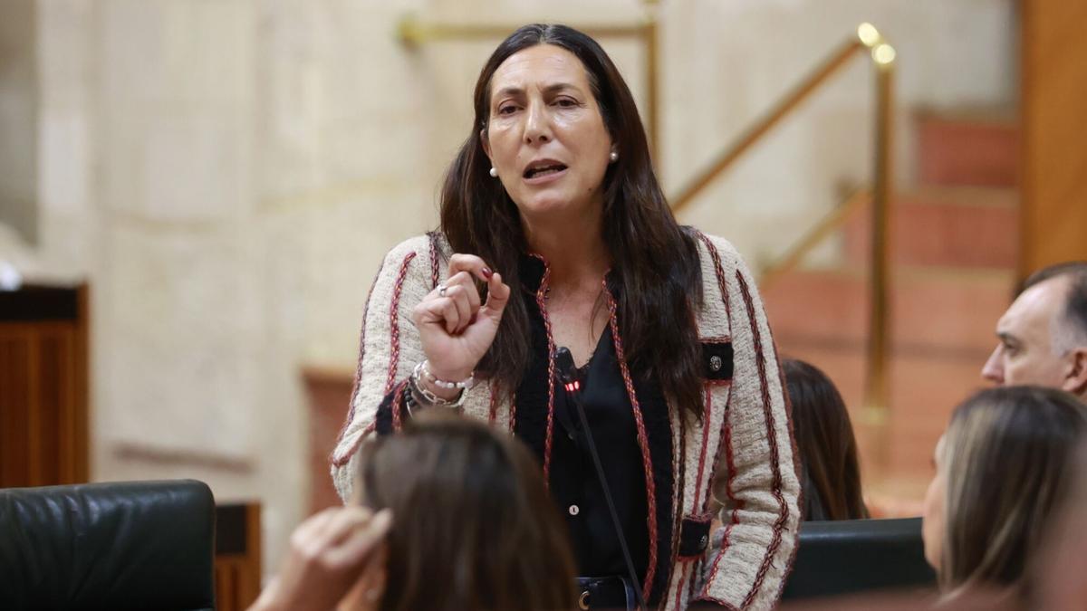 La consejera de Inclusión Social, Juventud, Familias e Igualdad, Loles López