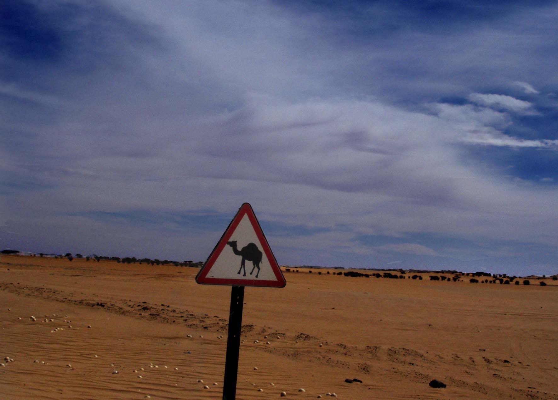 Señal de tráfico en el desierto de Argelia, en la zona de Adrar.