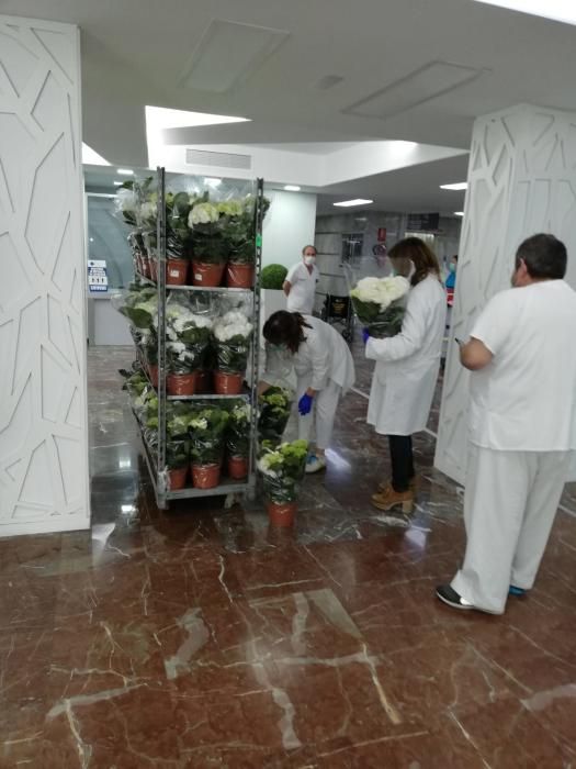 Flores de regalo para los sanitarios del Hospital