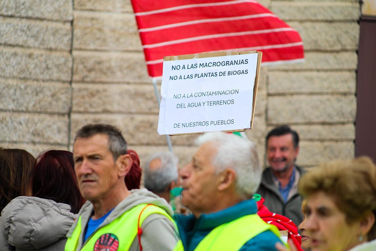 Ni molinos ni biogás: la oposición al nuevo mapa energético convoca a un millar de zamoranos en la capital