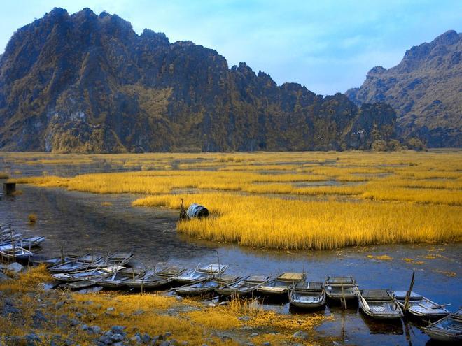 Sampanes en Ninh Binh