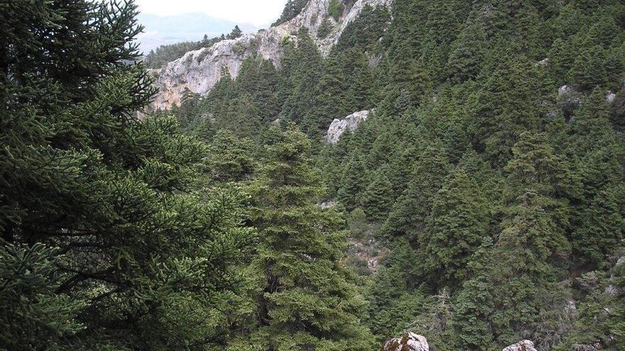 Sierra de las Nieves.