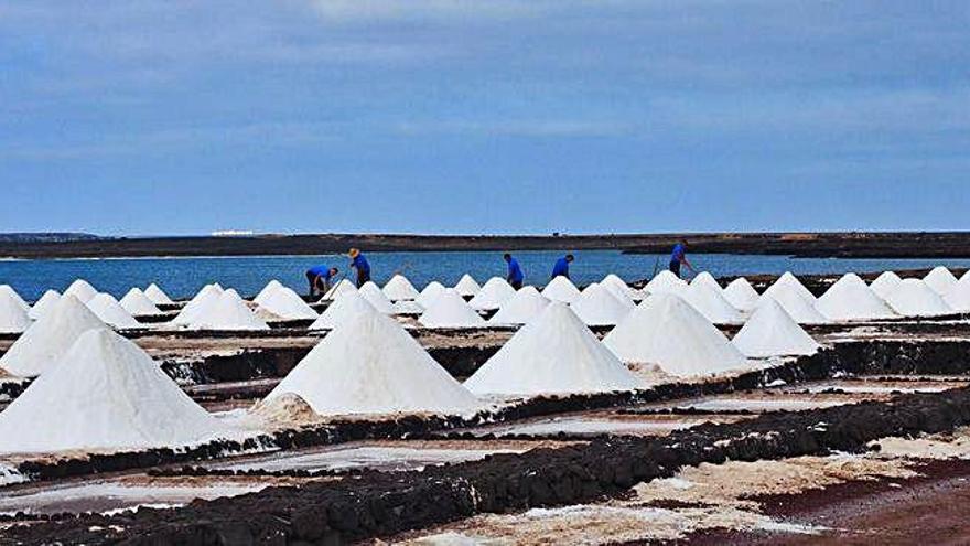 La mejor sal de Canarias es la flor de sal de Salinas de Janubio