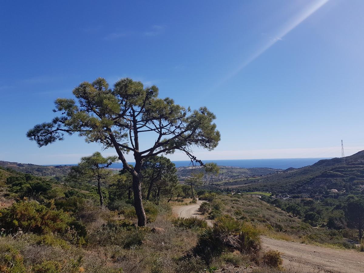 Parque San Isidro Labrador de Estepona, también conocido como Los Pedregales